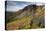 A Woman Enjoys a Morning Trail Run in a Meadow of Wildflowers at Snowbird Ski and Summer Resort, Ut-Adam Barker-Premier Image Canvas