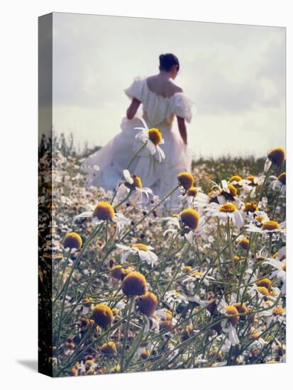 A Woman in a White Victorian Dress, Walking Among Camomile Flowers on a Meadow on a Sunny Day-Malgorzata Maj-Premier Image Canvas