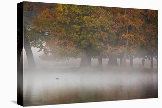 A Woman with Her Dog Stands by a Mist Shrouded Pond in Richmond Park in Autumn-Alex Saberi-Premier Image Canvas