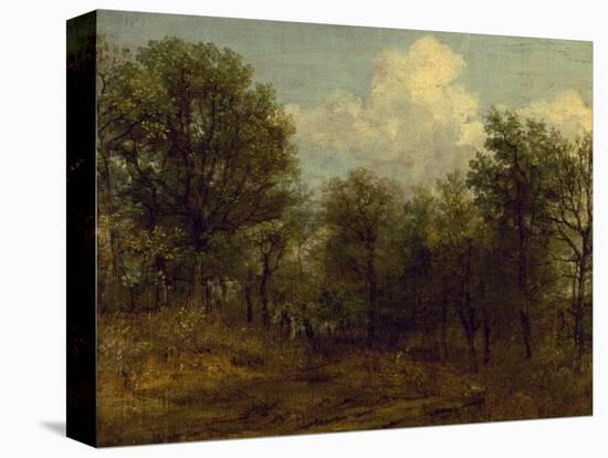 A Wood, 1776-1837-John Constable-Premier Image Canvas