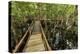 A wooden walkway at a jungle lodge above the Amazon River, Manaus, Brazil-James White-Premier Image Canvas