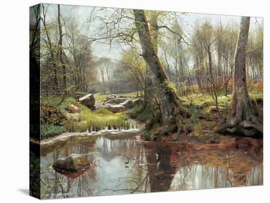 A Woodland Spring-Peder Monsted-Stretched Canvas