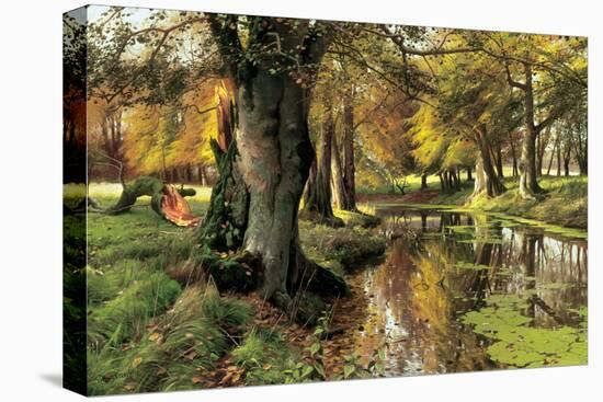 A Woodland Stream-Peder Monsted-Stretched Canvas