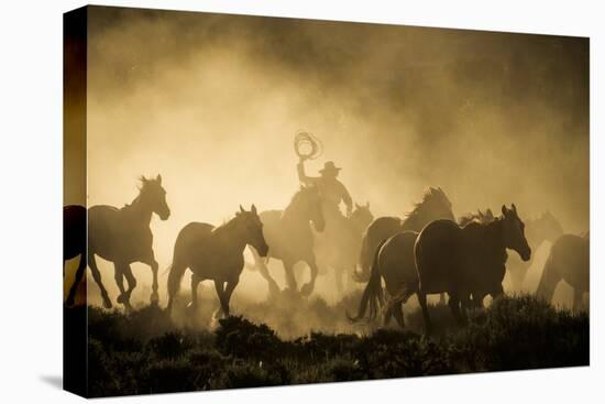 A wrangler herding horses through backlit dust cloud in golden light of sunrise-Sheila Haddad-Premier Image Canvas