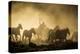 A wrangler herding horses through backlit dust cloud in golden light of sunrise-Sheila Haddad-Premier Image Canvas