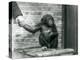 A Young Chimpanzee Holding the Hand of a Keeper While Sitting on a Wooden Crate, London Zoo, June 1-Frederick William Bond-Premier Image Canvas