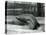 A Young Elephant Seal Reaching Backwards, London Zoo, 1930 (B/W Photo)-Frederick William Bond-Premier Image Canvas