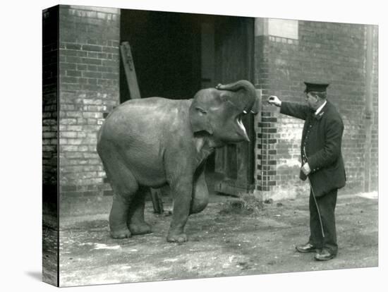 A Young Female Indian Elephant with Keeper H. Robertson, London Zoo, 22nd February 1922-Frederick William Bond-Premier Image Canvas