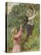 A Young Girl and a Young Boy Picking Blackberries-Eveline Lance-Premier Image Canvas