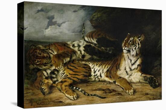 A Young Tiger Playing with Its Mother, 1830-Eugene Delacroix-Premier Image Canvas