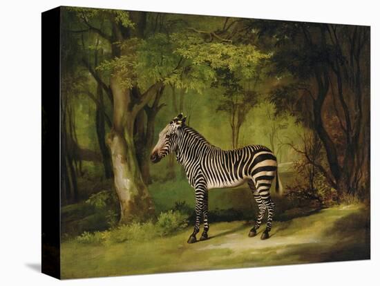 A Zebra, 1763-George Stubbs-Premier Image Canvas