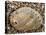 Abalone Common Ormer Lamellose Ormer Shell on Beach, Mediterranean, France-Philippe Clement-Premier Image Canvas