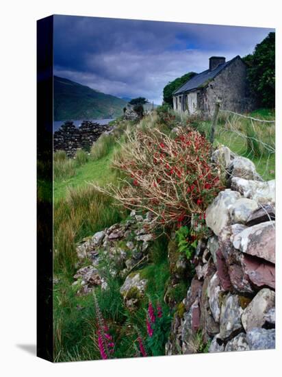 Abandoned Cottage on the Famine Relief Road in Killary Harbour, Connemara, Connaught, Ireland-Gareth McCormack-Premier Image Canvas