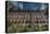 Abandoned Factory Building-Nathan Wright-Premier Image Canvas