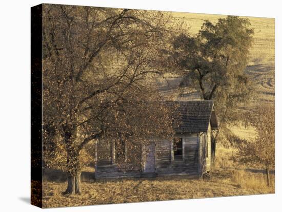 Abandoned Farm House in Wheat Field, Uniontown, Washington, USA-William Sutton-Premier Image Canvas