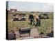 Abandoned French Tanks in a Field, Dunkirk, France, 1940-null-Premier Image Canvas