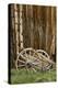 Abandoned wooden wagon, Bodie State Historic Park, California-Adam Jones-Premier Image Canvas