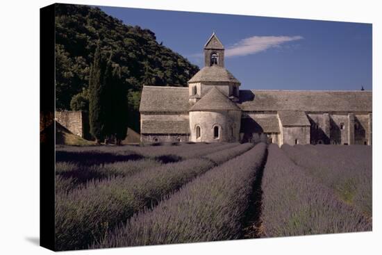 Abbaye Notre-Dame De Senanque, Gordes - Provence, France-Achim Bednorz-Premier Image Canvas