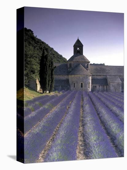 Abbey De Senanque, Provence, France-Marcel Malherbe-Premier Image Canvas