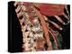 Abdominal Aorta And Spine, 3D CT Scan-Miriam Maslo-Premier Image Canvas