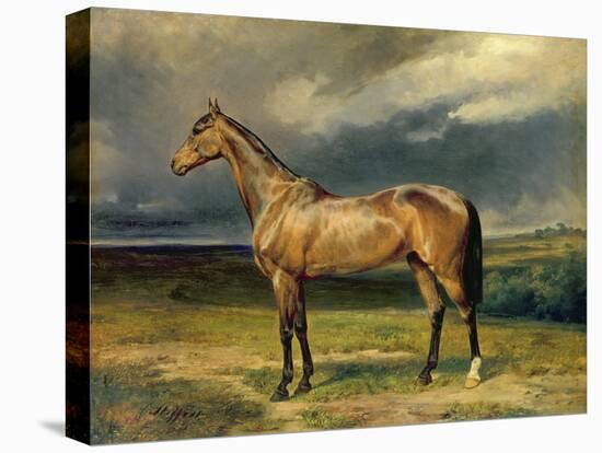 Abdul Medschid' the Chestnut Arab Horse, 1855-Carl Constantin Steffeck-Premier Image Canvas