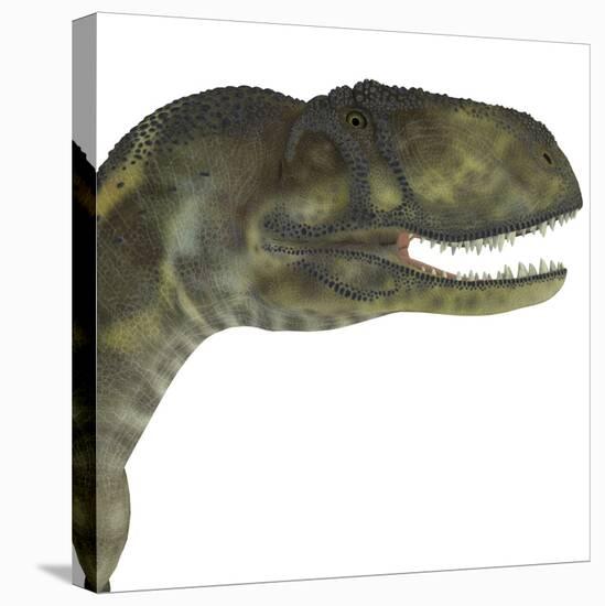 Abelisaurus Portrait-Stocktrek Images-Stretched Canvas