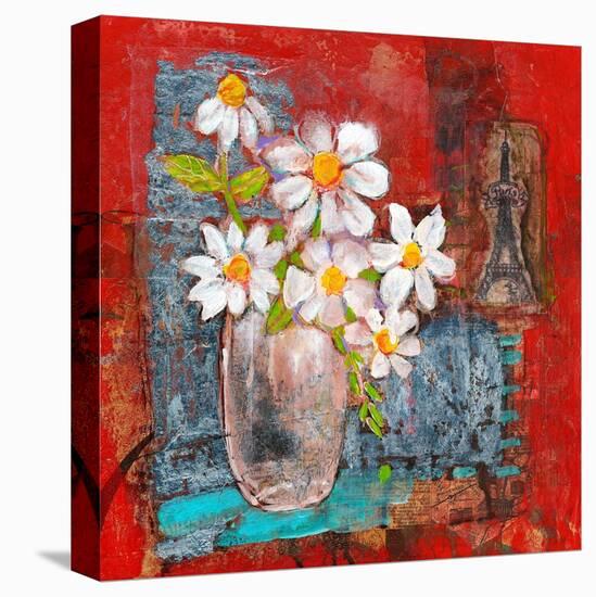 Abigail Daisy Flowers-Blenda Tyvoll-Stretched Canvas