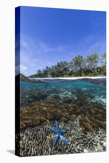 Above and Below View of Coral Reef and Sandy Beach on Jaco Island, Timor Sea, East Timor, Asia-Michael Nolan-Premier Image Canvas
