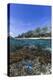 Above and Below View of Coral Reef and Sandy Beach on Jaco Island, Timor Sea, East Timor, Asia-Michael Nolan-Premier Image Canvas