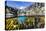 Above and Below Water View of Kelp in Hercules Bay, South Georgia, Polar Regions-Michael Nolan-Premier Image Canvas