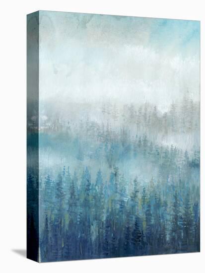 Above the Mist I-Tim O'toole-Stretched Canvas