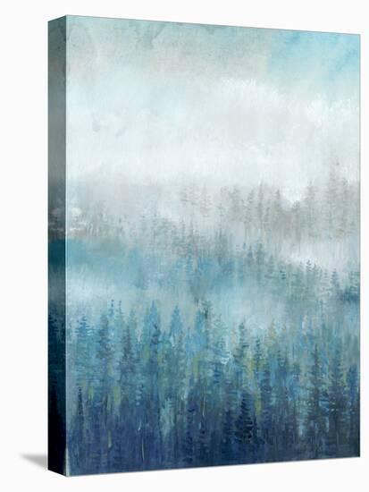 Above the Mist I-Tim OToole-Stretched Canvas