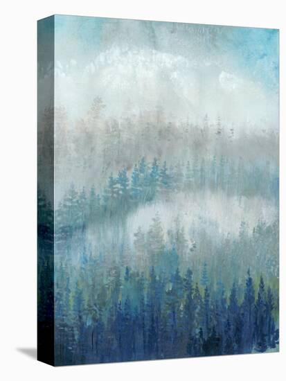 Above the Mist II-Tim O'toole-Stretched Canvas