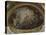 Abside de la chapelle Royale de Versailles : La résurrection-Charles de La Fosse-Premier Image Canvas