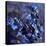 Abstract 2122022-Pol Ledent-Stretched Canvas