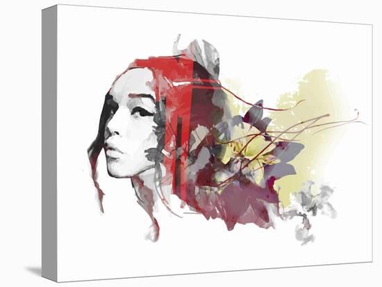 Abstract Composition with a Lady and Flowers-A Frants-Stretched Canvas