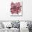 Abstract Dahlia-Kiana Mosley-Stretched Canvas displayed on a wall