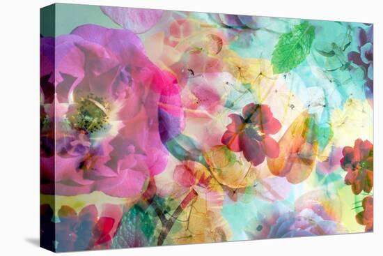 Abstract Dreamy Multicolor Blossoms in Water-Alaya Gadeh-Premier Image Canvas