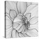 Abstract Floral Background. Vector Flower Dahlia. Element for Design.-Helga Pataki-Stretched Canvas