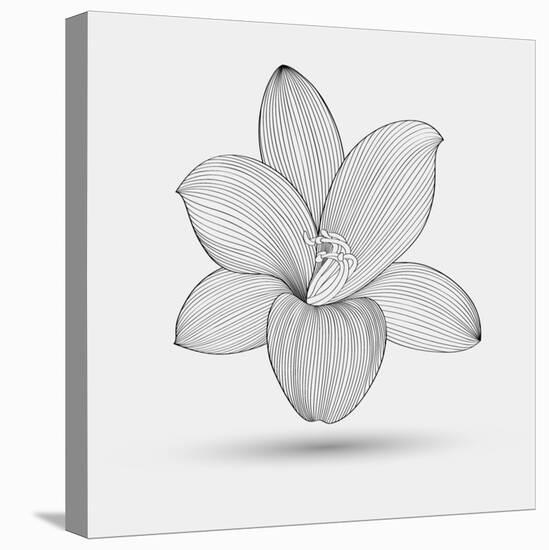 Abstract Floral Flower Lily-Helga Pataki-Stretched Canvas