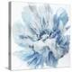 Abstract Flower 2 Blue-David Moore-Stretched Canvas