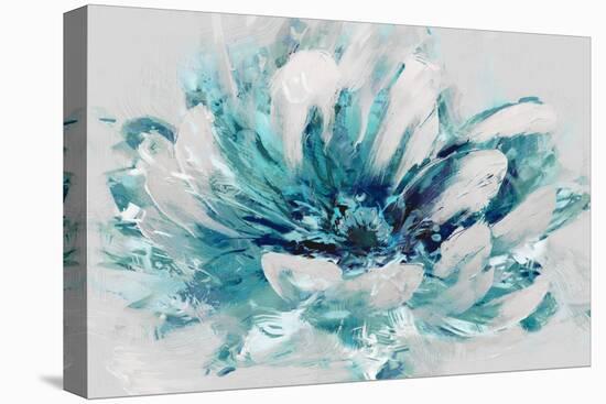 Abstract Flower Aqua-David Moore-Stretched Canvas