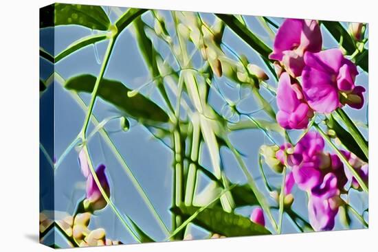 Abstract Flowers 8807-Rica Belna-Premier Image Canvas