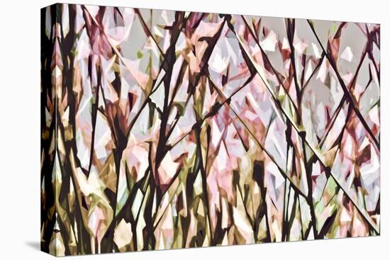 Abstract Flowers 8820-Rica Belna-Premier Image Canvas