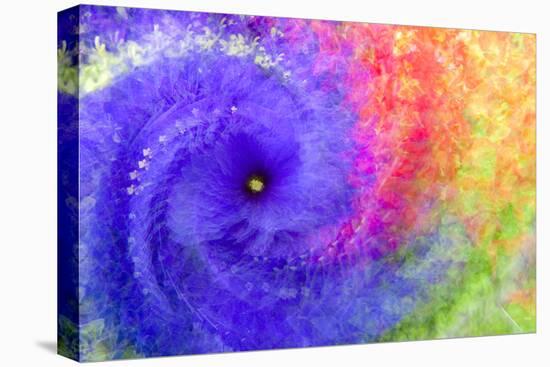Abstract flowers in a twirl.-Sheila Haddad-Premier Image Canvas
