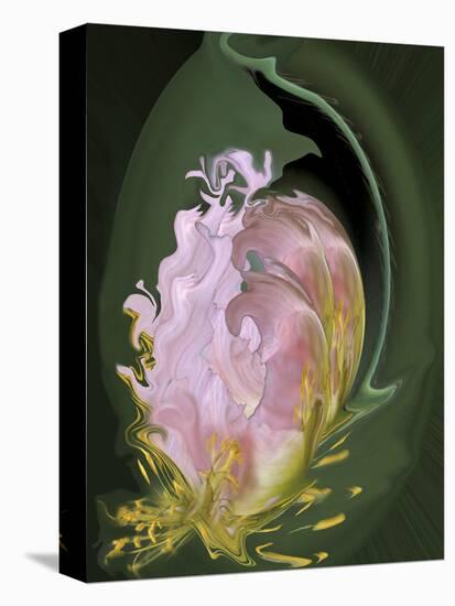 Abstract Flowers-Ellen Anon-Premier Image Canvas