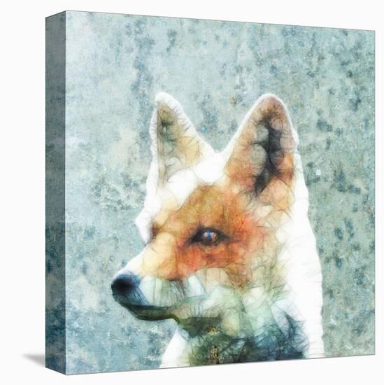 Abstract Fox-Ancello-Stretched Canvas
