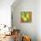 Abstract Fruits I-Chariklia Zarris-Stretched Canvas displayed on a wall