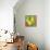 Abstract Fruits I-Chariklia Zarris-Stretched Canvas displayed on a wall