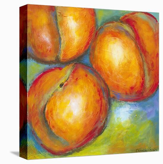 Abstract Fruits II-Chariklia Zarris-Stretched Canvas